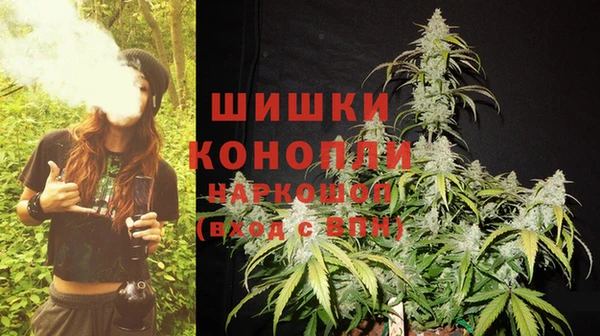эйфоретик Новозыбков