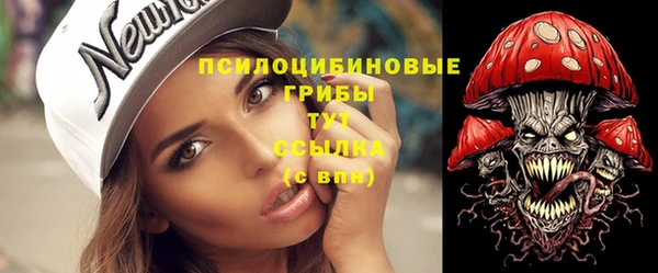 эйфоретик Новодвинск