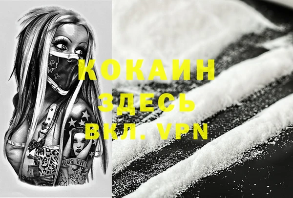 эйфоретик Новодвинск
